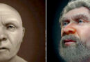 Cómo lucía el ‘hombre viejo’ hace 50.000 años